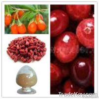 Goji (wolfberry)  Extract 30%-50% Polysaccharide