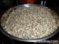 Arabica Coffee Beans