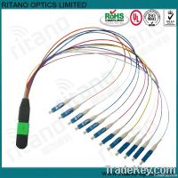 SM 12 cores MPO-LC Fiber Patch Cables Language Option  French