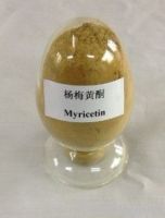 https://jp.tradekey.com/product_view/Antioxidizing-Bayberry-Bark-Extract-Powder-3742024.html