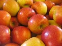 we offer the best fresh fuji apples 