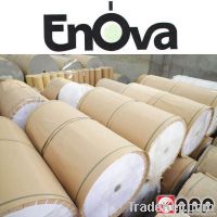 Coated paper Enova (APP)