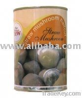 Canned Straw Mushrooms