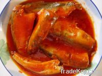 SARDINE IN tomato sauce