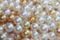 Cultured South Sea Pearls