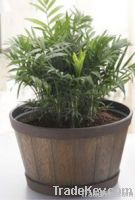 wood-like plastic planter&pot, nursery pot, garden pot