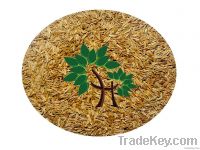 Caraway Seeds