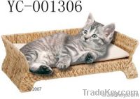 Cats trays