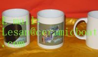 Twelve Constellation Heat Sensitive Color Changing Ceramic Mug (GZJT)