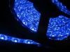 LED Flexible Strip