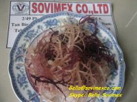 Dried E.Cottonii/Spinosum Seaweed for Carrageenan