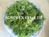 Dried Ulva Lactuca fertilizer