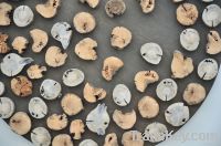 Driftwood wall decor