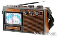 AM/FM/SW1-9 11BAND RADIO