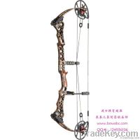 Bow / Archery Set