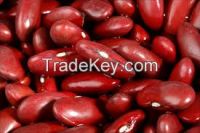 kidney beans, white beans, red beans, black beans