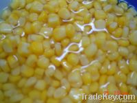 Sweet kernel corn in brine