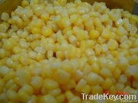 Sweet kernel corn in vacuum