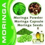 Moringa