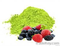 Organic Matcha - Fruit Punch Flavour