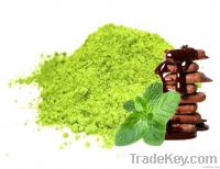 Organic Matcha - Chocolate Mint Flavour