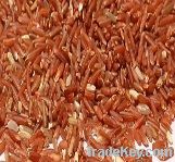 Organic Red Rice