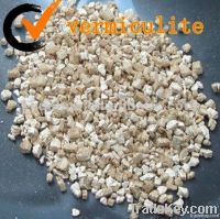 Expanded silver vermiculite