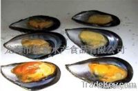 FROZEN COOKED HALF SHELL MUSSEL