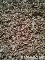 wood chips from a mesquite tree