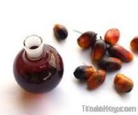 Palm Kernel Oil