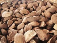 Brazil nuts - inshell