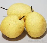 https://jp.tradekey.com/product_view/2012-China-Fresh-Pear-3924744.html