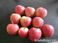 2012 fresh apple