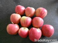 https://es.tradekey.com/product_view/2012-Fresh-Apple-3924850.html