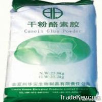 https://www.tradekey.com/product_view/Casein-Glue-Powder-3857700.html