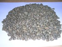 COFFEE ARABICA TORAJA