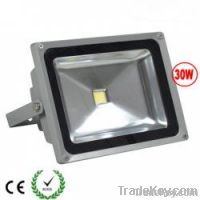 10W LED Floodlights Wall Wash Lighting