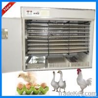 chicken incubator