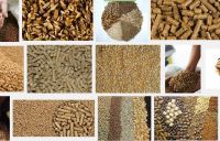 alfafa hay,timothy hay,krill meal,copra meal,coconut meal,corn silage,cottonseed meal,Porcine Plasma,yellow corn