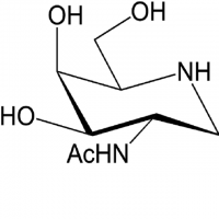 2-Acetamido-1,2-dideoxy-galactonojirimycin