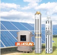 1500W 2HP 3HP Solar Water Pump 48V Deep Well DC Solar Pump System For Agriculture