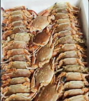 Frozen Warty Swimming Crab