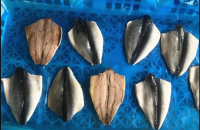 Pacific Mackerel Butterfly Fillet