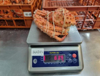 New Season Frozen Boiled King Crab