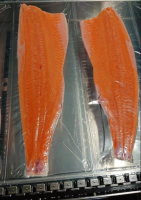 Frozen Norway Salmon Fillet Premium Quality