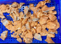 Frozen Atlantic Salmon Bits And Pieces