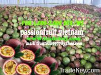 passionfruit Vietnam