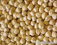 Grade 1 Kabuli Chickpeas,chickpeas suppliers,chick pea exporters,chickpea traders,kabuli chickpea buyers,desi chick peas wholesalers,low price chickpea,best buy chick peas