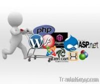 Website Development Services