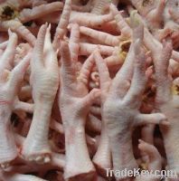 Export Chicken Paw | Chicken Feet Suppliers | Poultry Feet Exporters | Chicken Feets Traders | Processed Chicken Paw Buyers | Frozen Poultry Paw Wholesalers | Low Price Freeze Chicken Paw | Best Buy Chicken Paw | Buy Chicken Paw | Import Chicken Paw | Ch